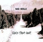 Nad Neslo's ( Dan Olsen from California) music does remind me of driving on the road  pictured on his CD cover. His easy going, high tenor voice and lead guitar draw from Neil Young and his stretched out songs make for immersion into his sepia colored, wistful, but vista filled world.
