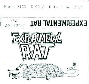 Experimental Rat