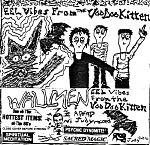 Wallmen, "Eel Vibes From The Voodoo Kitten" cassette cover.