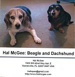 Venturing back into the world of cassettes, Hal made this short tape in 2008 of autobiographical insights with his two dogs on the cover.